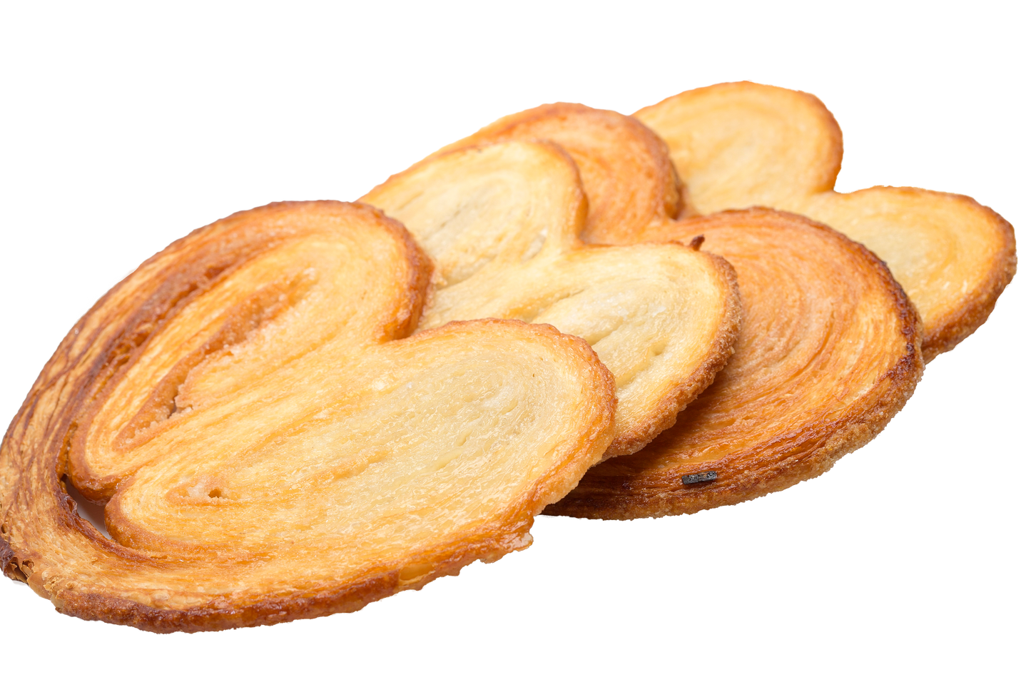 Palmier