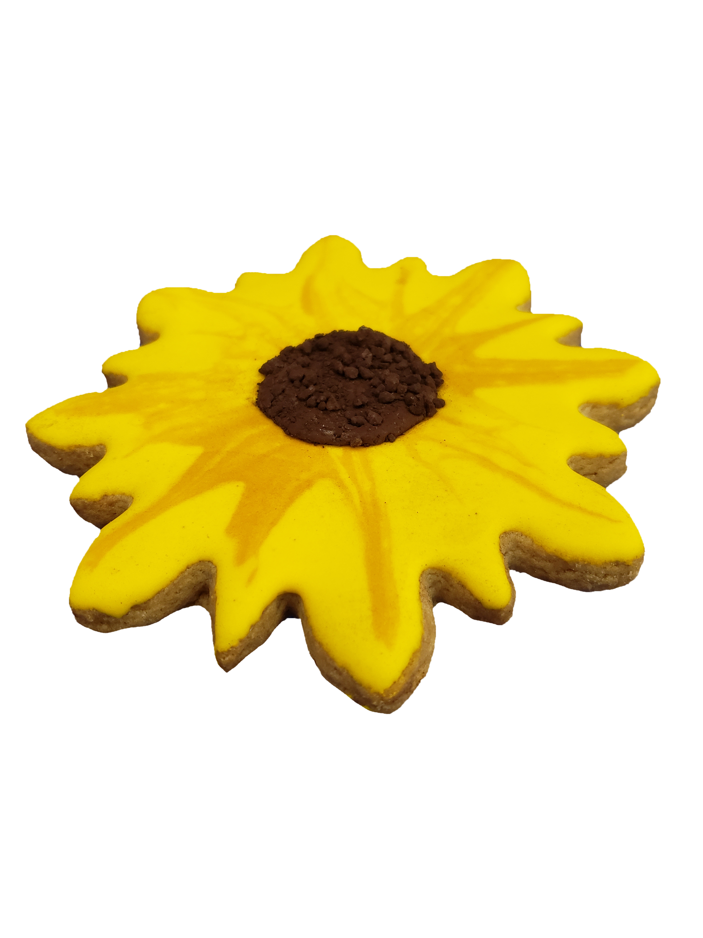 Biscuit au tournesol
