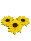 Sunflower Cookie