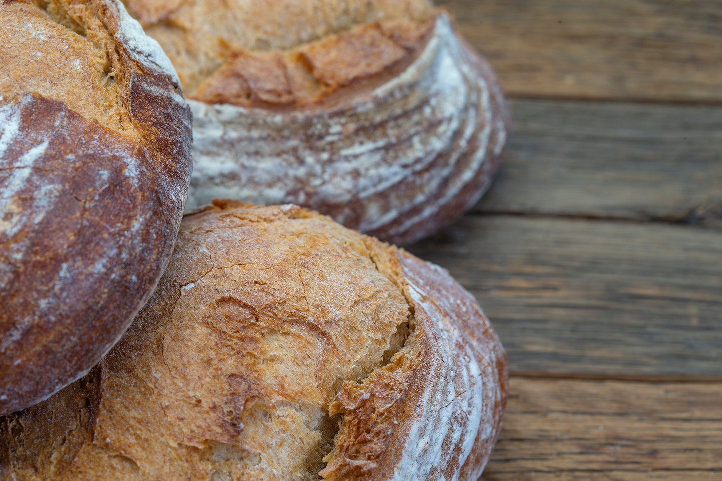 Levain à l'ancienne_48 heures