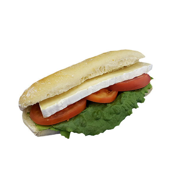 Panini