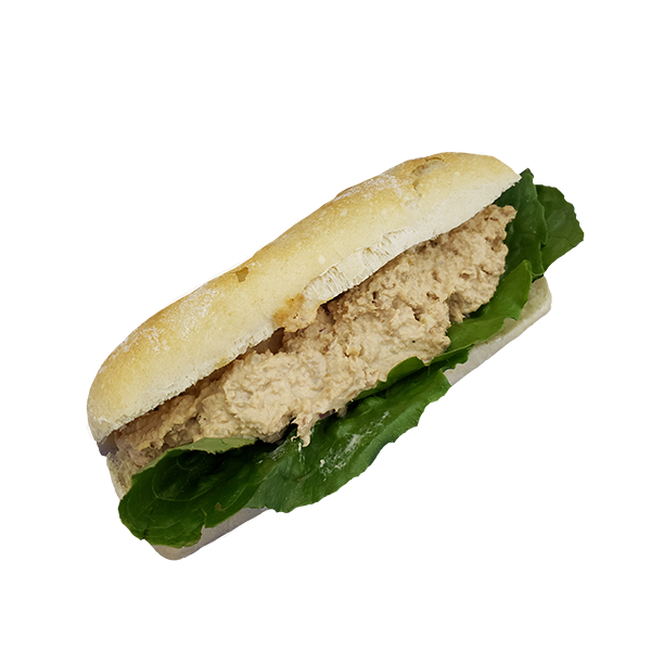 Panini