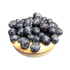 Fresh Blueberry Tartelette