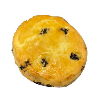 Blueberry Scone