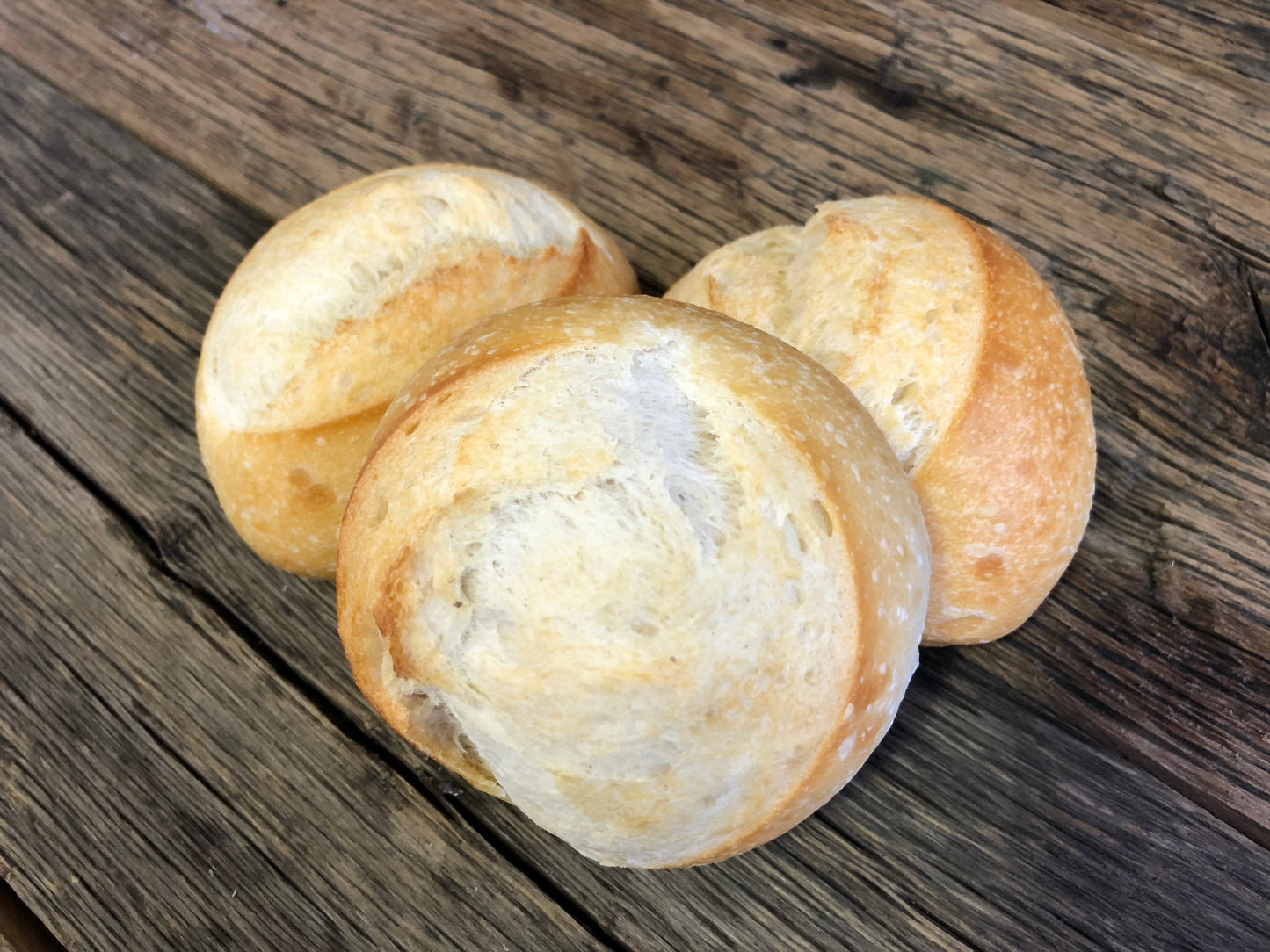 Dinner Roll White