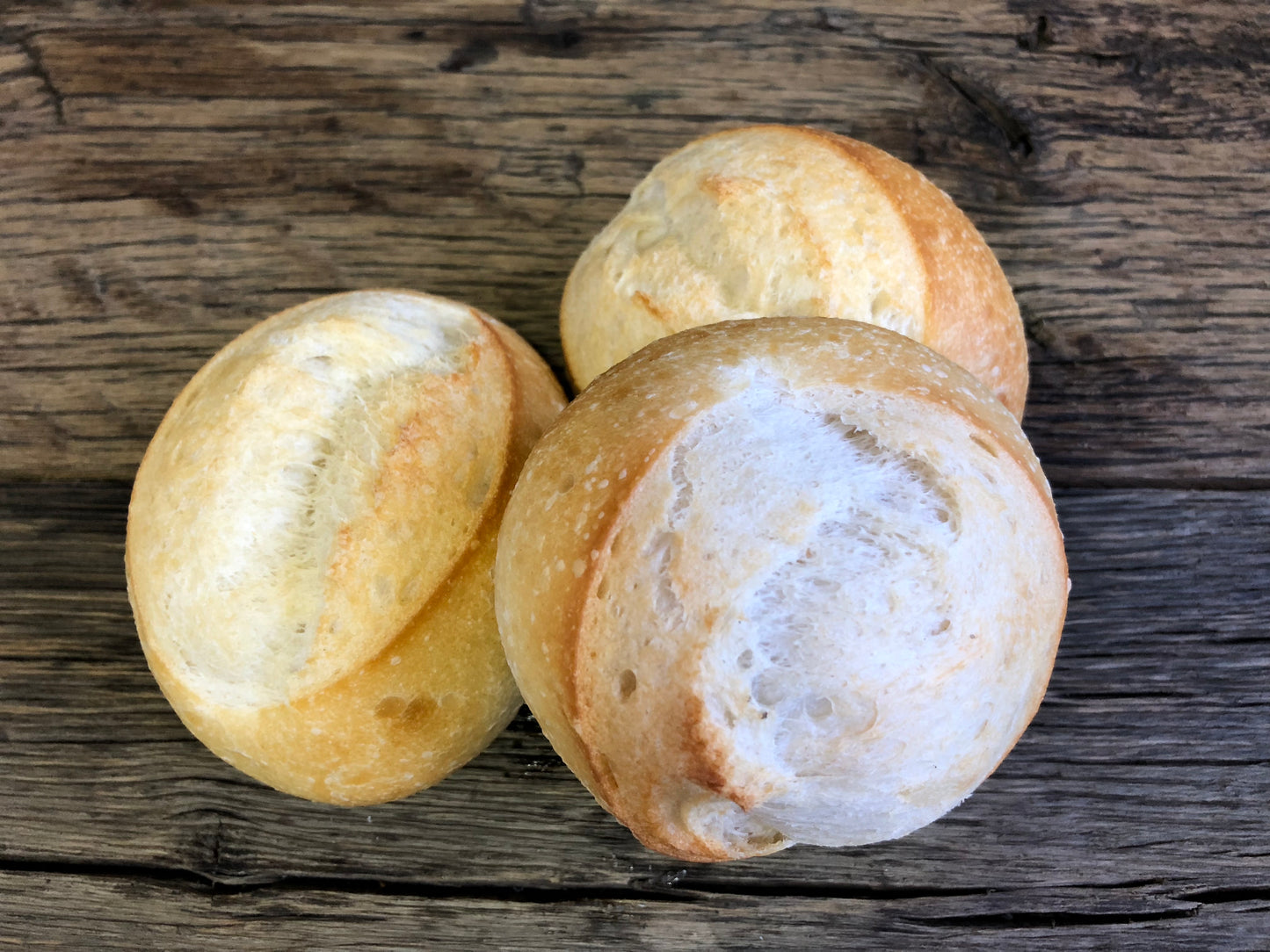 Dinner Roll White