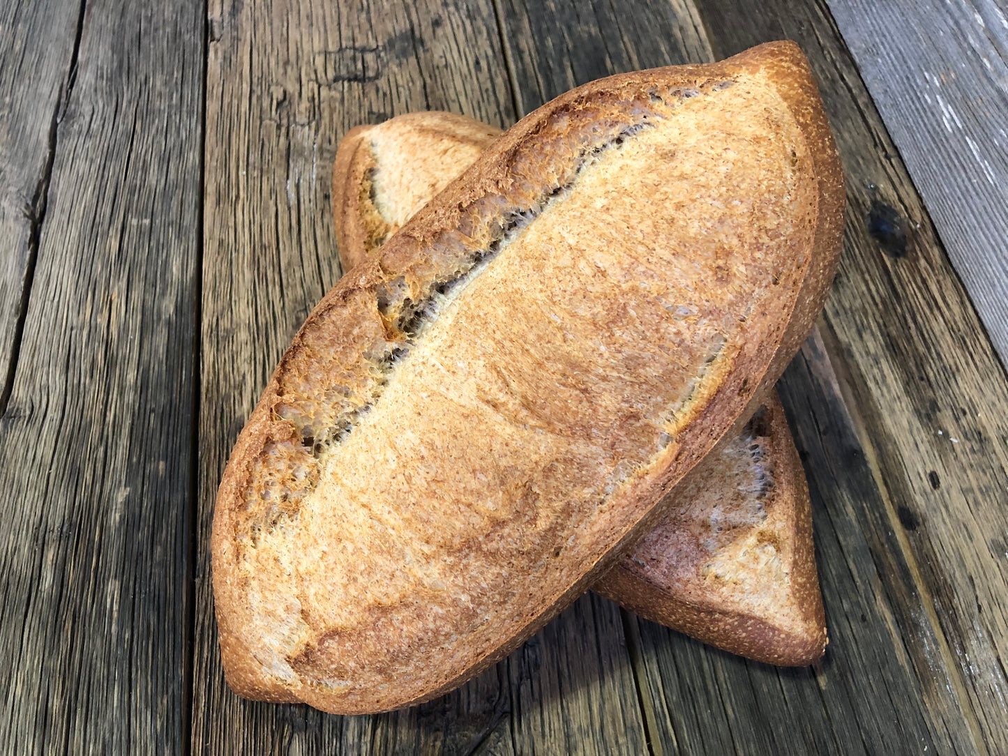 Belge Wheat
