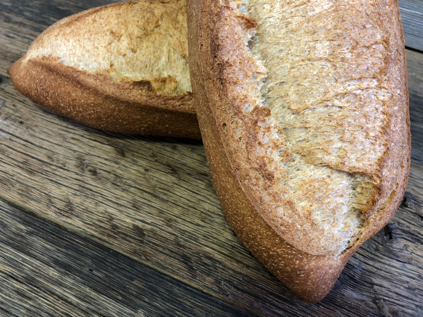 Belge Wheat