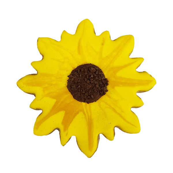 Biscuit au tournesol