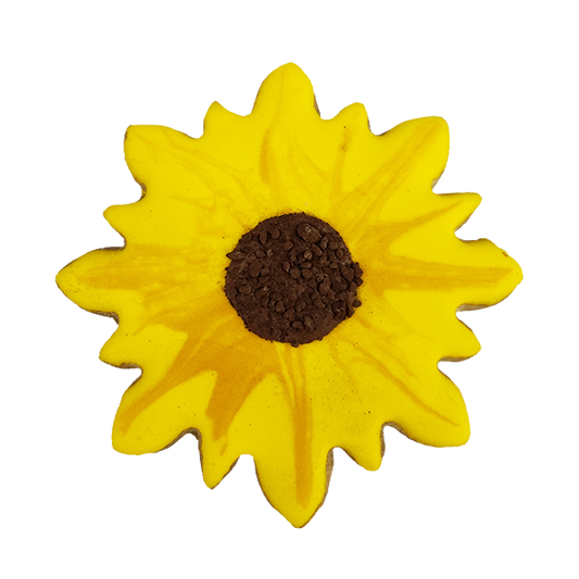 Biscuit au tournesol